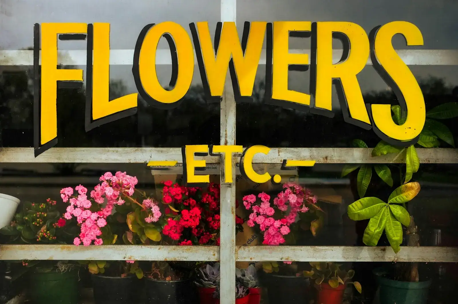 Lettrage jaune « Flowers etc. » sur la vitrine d’un fleuriste